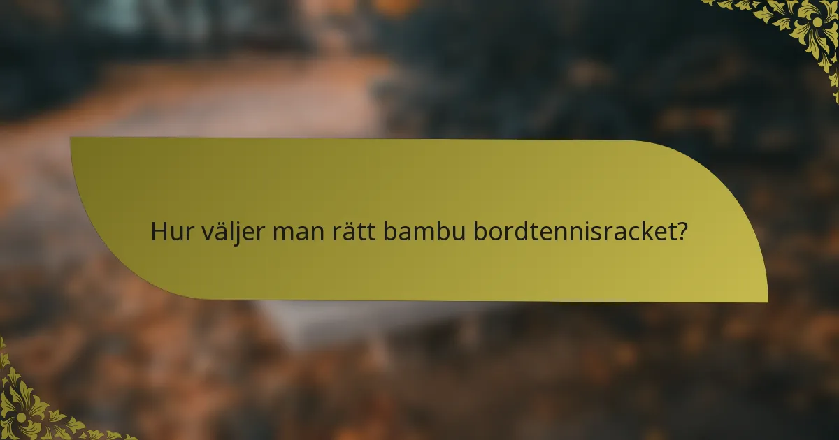 Hur väljer man rätt bambu bordtennisracket?