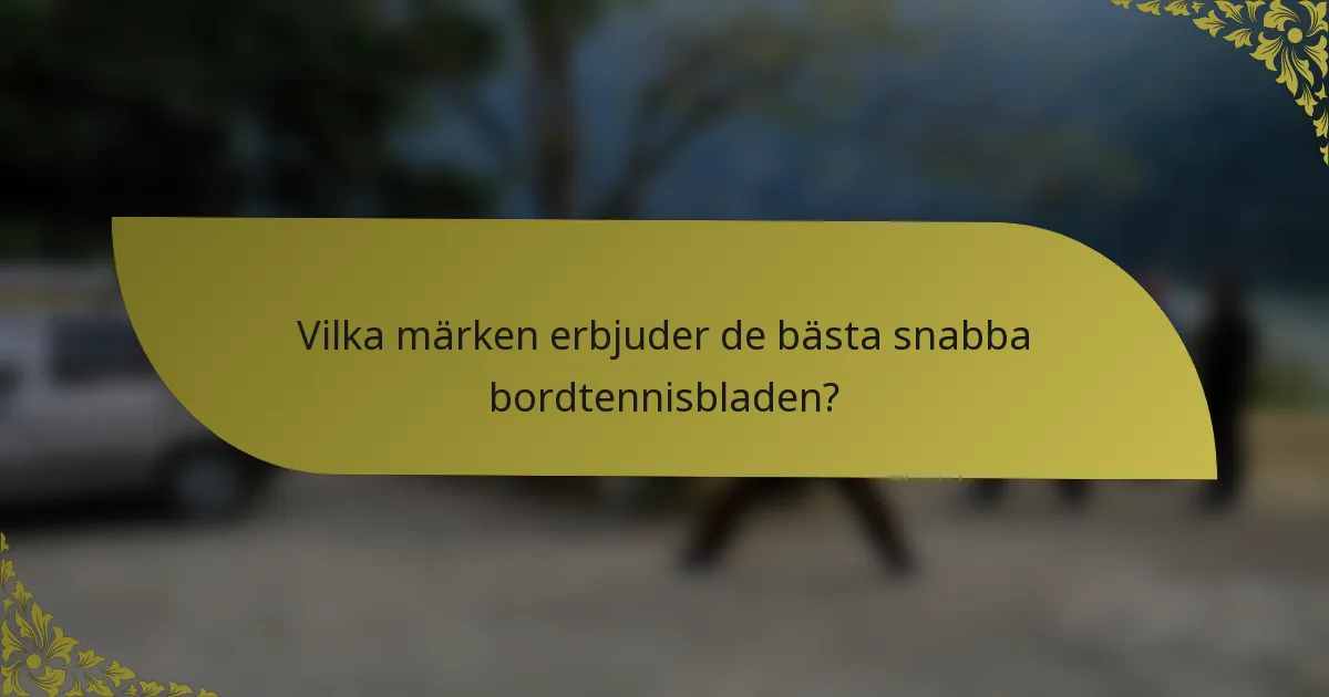 Vilka märken erbjuder de bästa snabba bordtennisbladen?